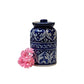 Auralite Pickle Jar Blue Felicity